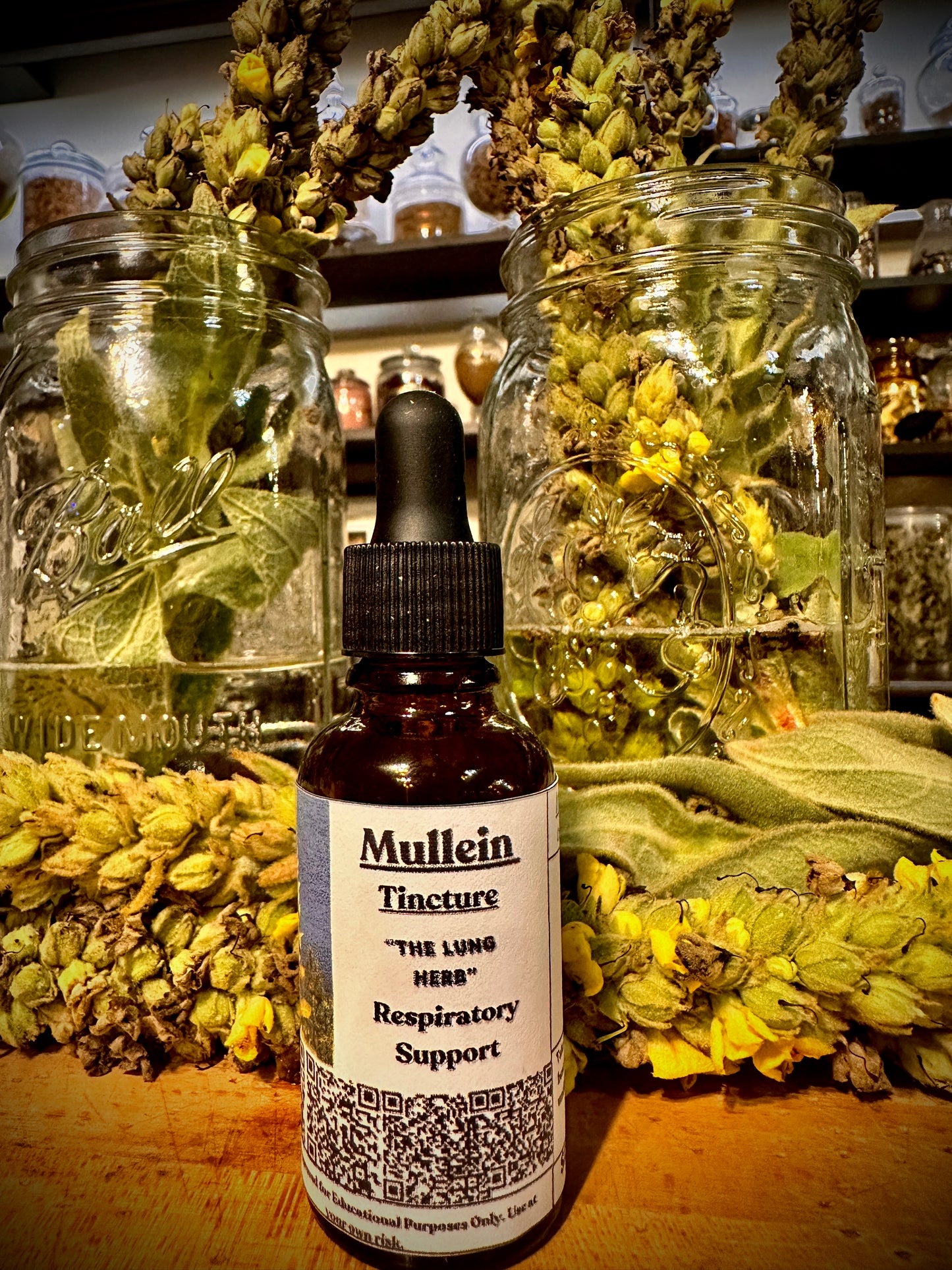 All About Mullein Class November 29th 2025